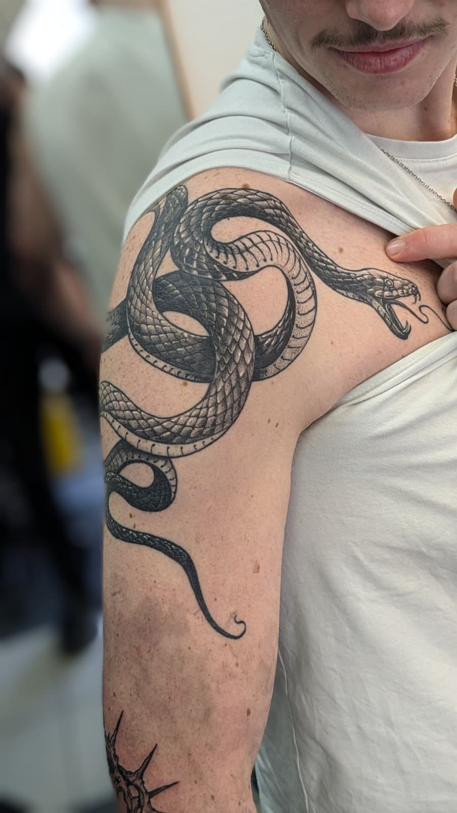 Serpent enroulé sur l'épaule en noir et gris — Nik Costaz