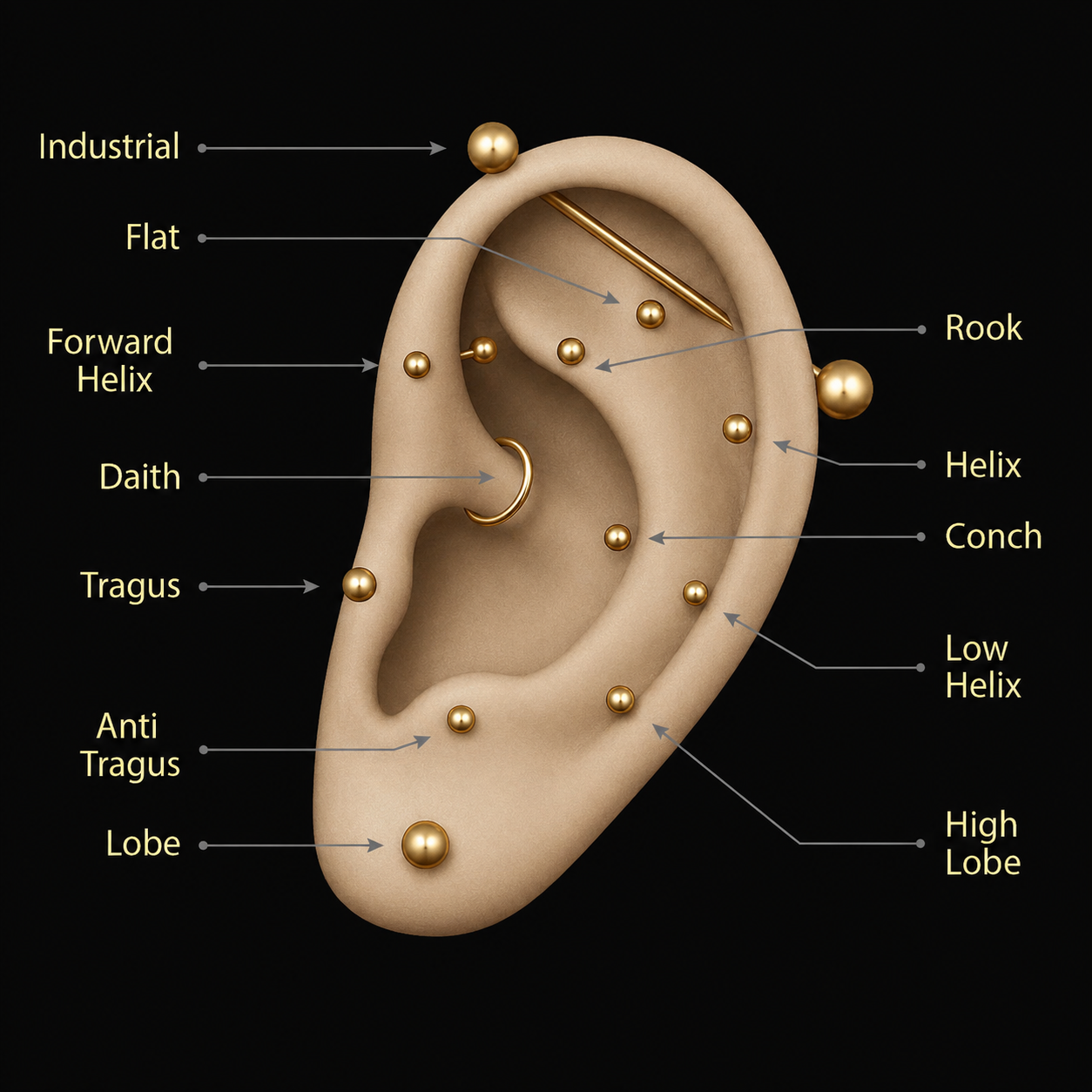 Schéma d'une oreille avec le nom de chaque emplacement de piercing : industrial, flat, forward helix, daith, tragus, anti-tragus, lobe, rook, helix, conch, low helix, high lobe