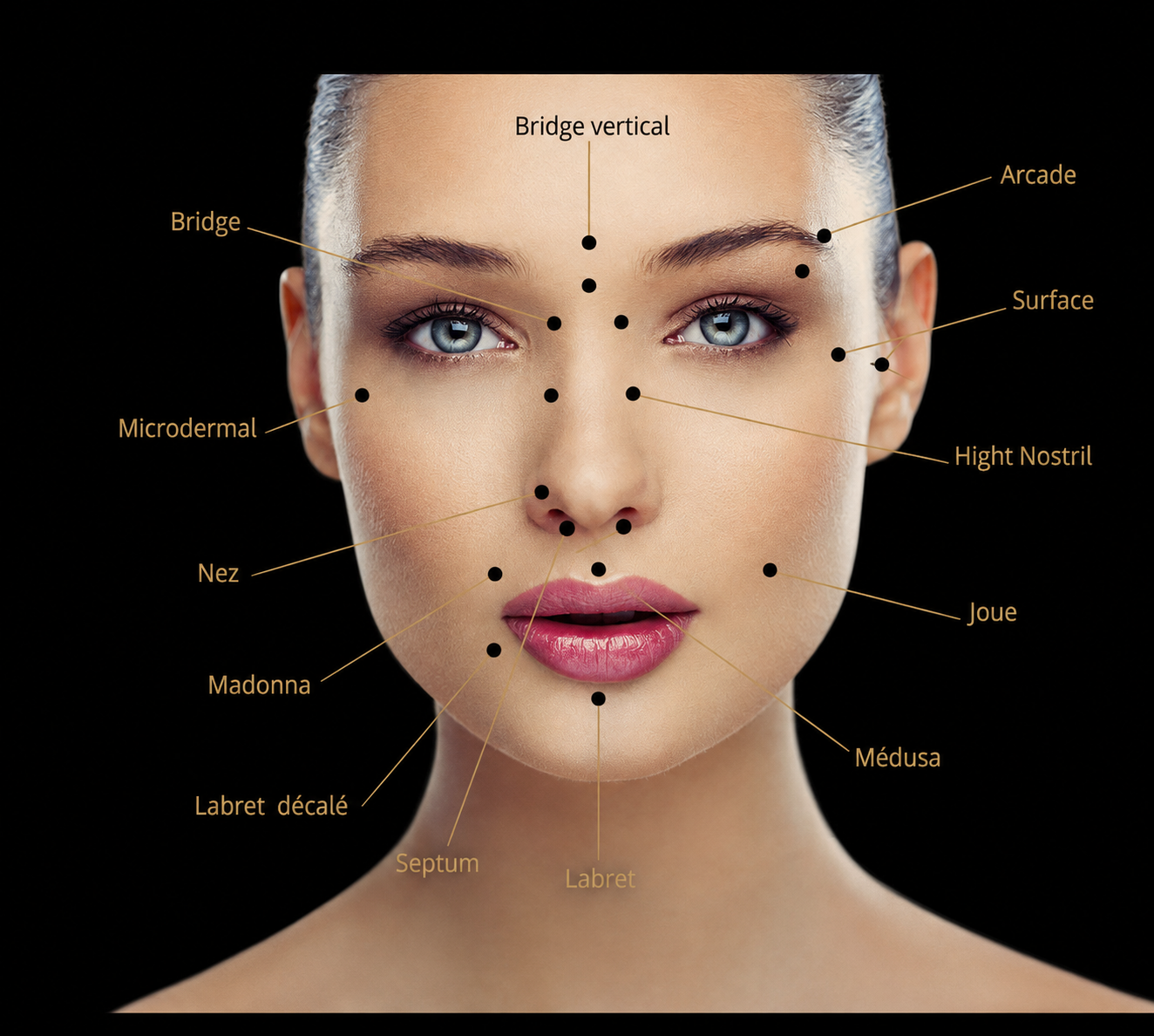Schéma d'un visage avec le nom de chaque emplacement de piercing : bridge, bridge vertical, arcade, surface, microdermal, high nostril, nez, joue, madonna, médusa, labret, labret décalé, septum