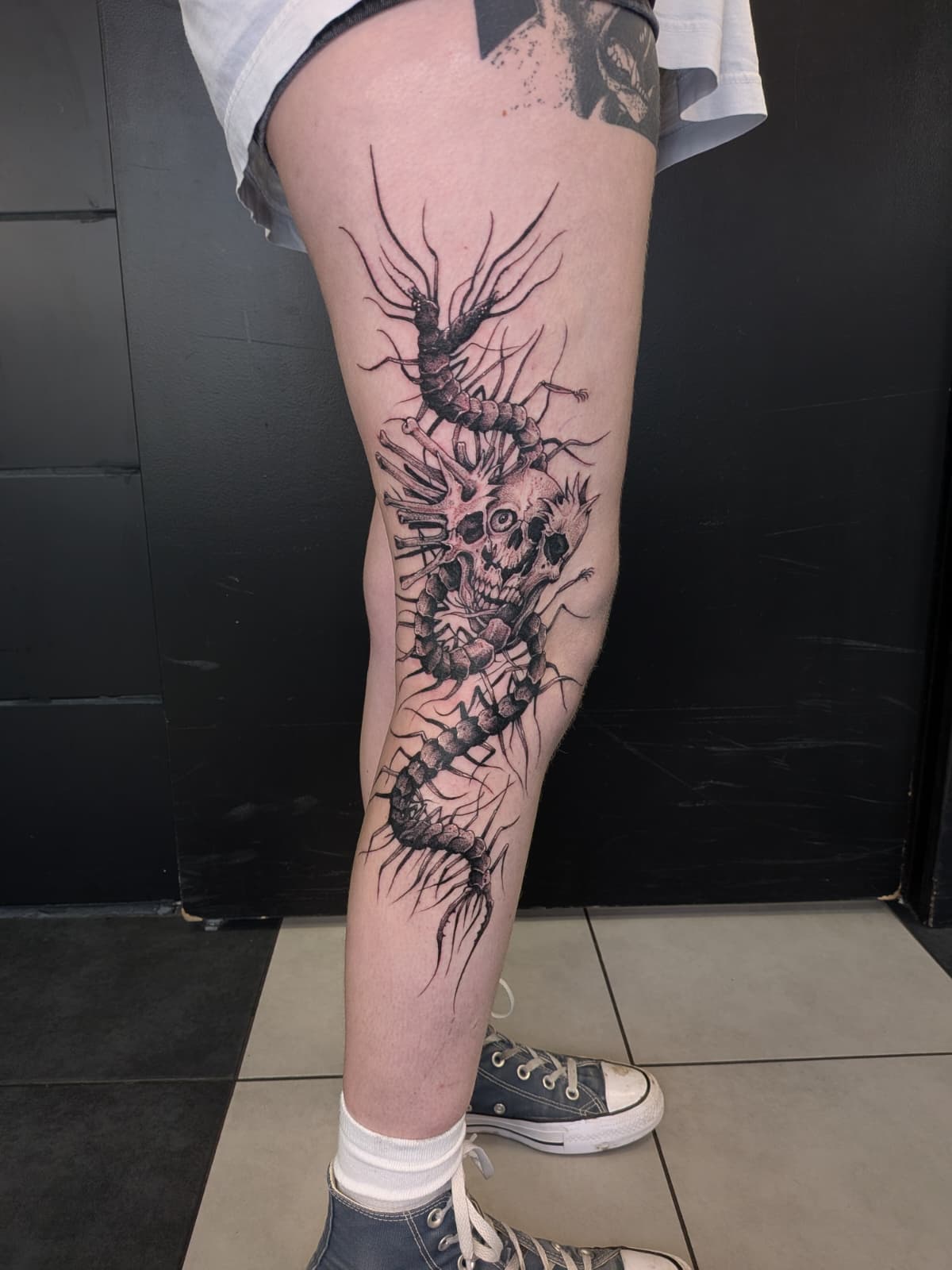 Mille-pattes et crâne en dotwork sur la jambe — Nik Costaz