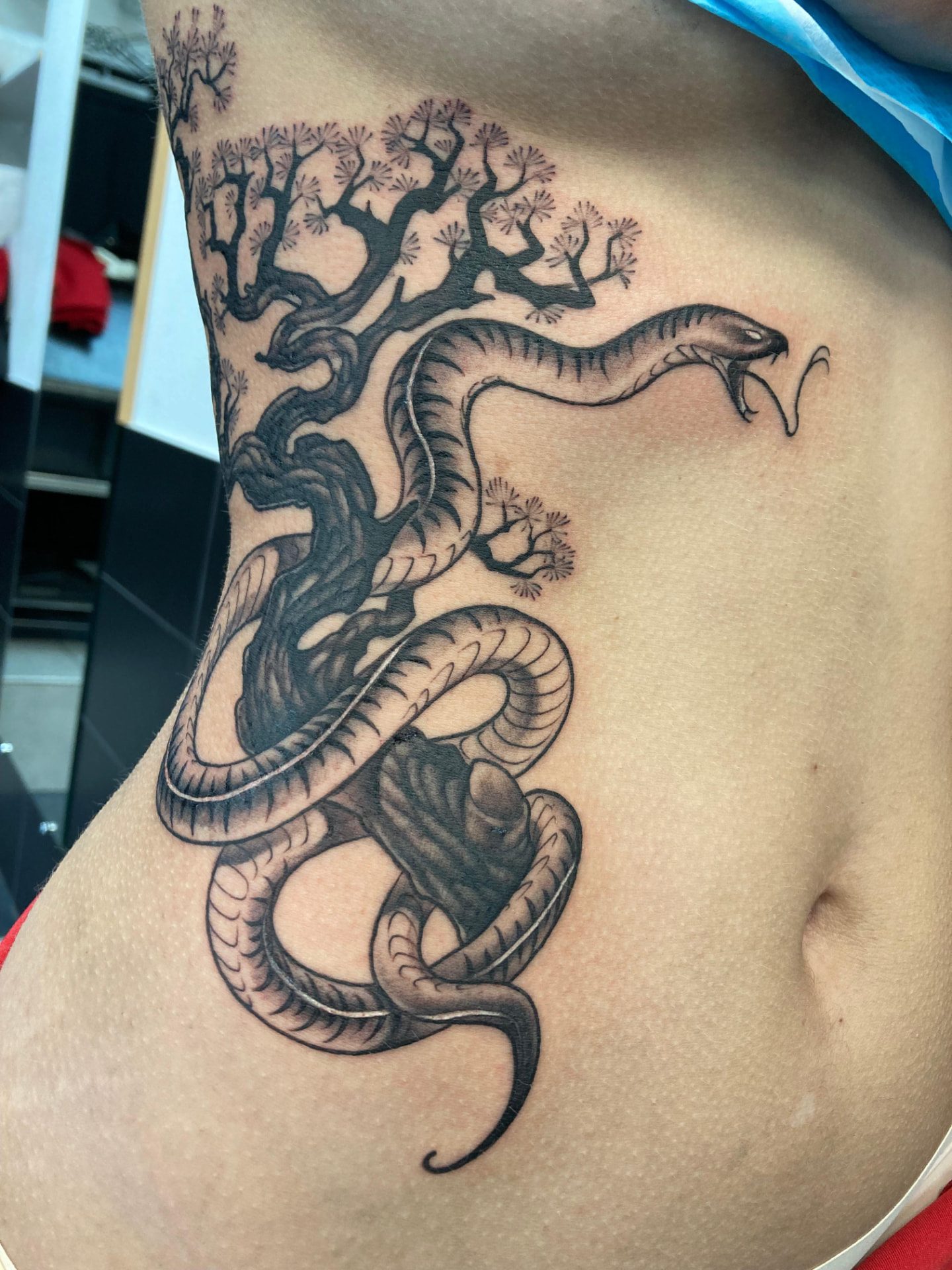 Serpent et bonsaï sur les côtes, noir & gris — Chez Nanah